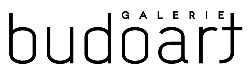 logo dark