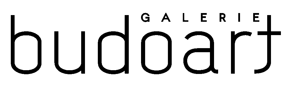 Galerie Budoart